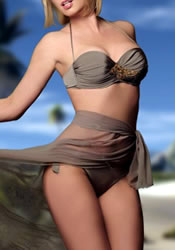 Elite Courtesan Paris and International