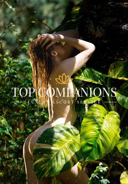 Top Companion Agency