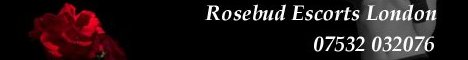Rosebud Escorts - London